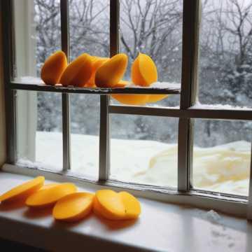 Mangoes in Winter