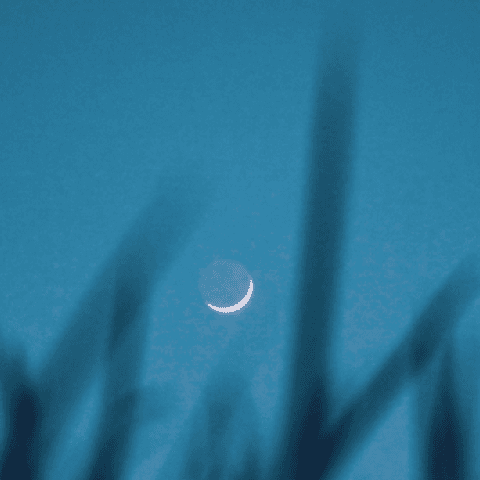 Whispered Dreams