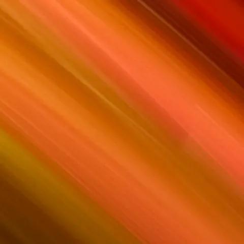 Whispers of the Heart