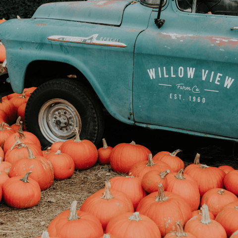 Choti Si Gudiya 2 by Mohammad Umar - Children's music cover art