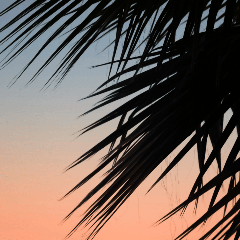 बच्चों की दुनिया 1 by Spider - Children music cover art