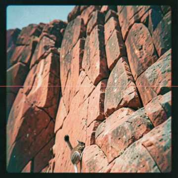 Rock Wallaby by Dustin - Pub Rock music cover art