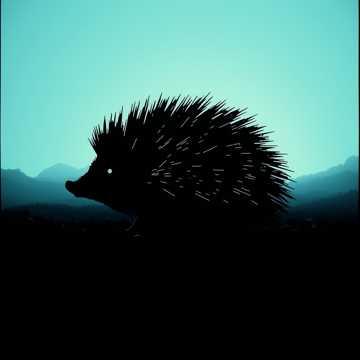 Light and Dark Collide