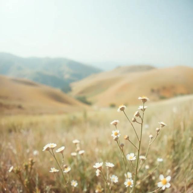 Thank You, Ray — A Mother's Song 2