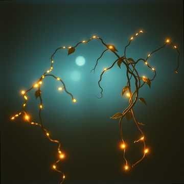 First Light (The First Family)