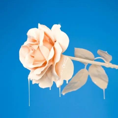 Знай знай знай — Мужской, Imagine Dragons 2