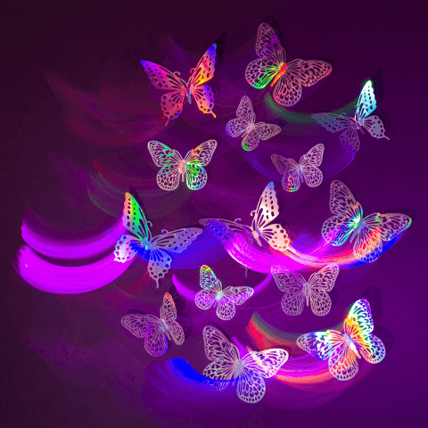 Cumbia de Julio César 2