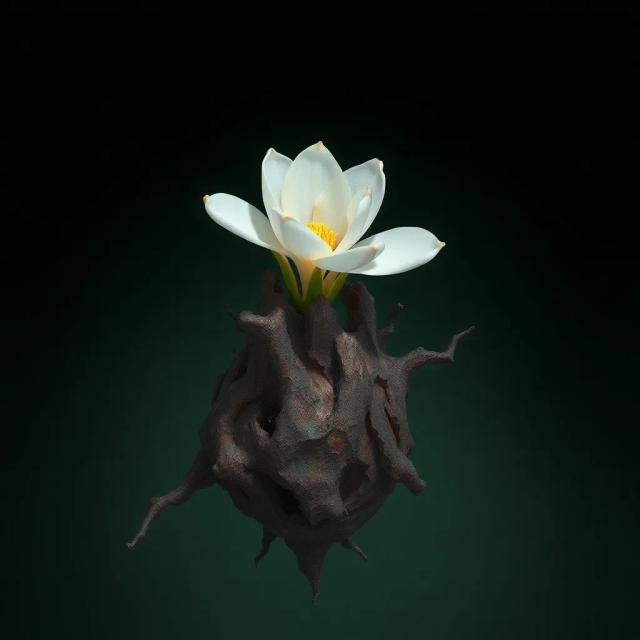 The Climbing Itself 2