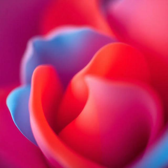 لا لا... أفكارلا 1