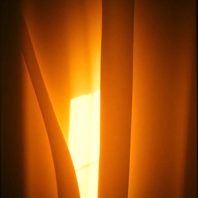 Love Was Born Tonight 2