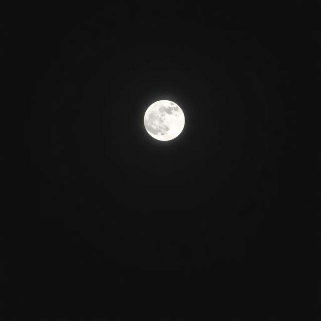 Bound Under Moonlight 2