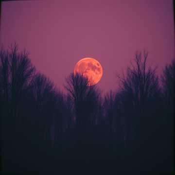 The Black Moon Ascends → Ash Born Sovereign