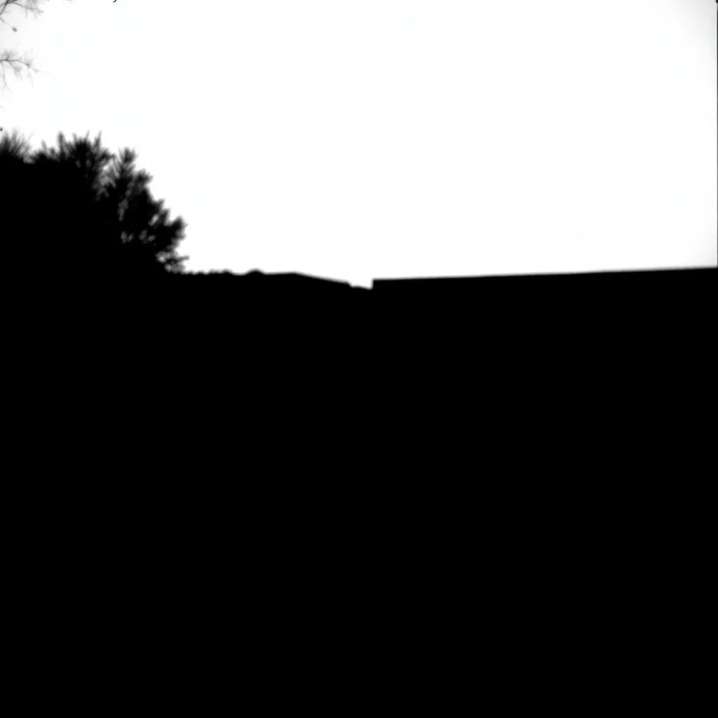 나의 그림자 (My Shadow) 2