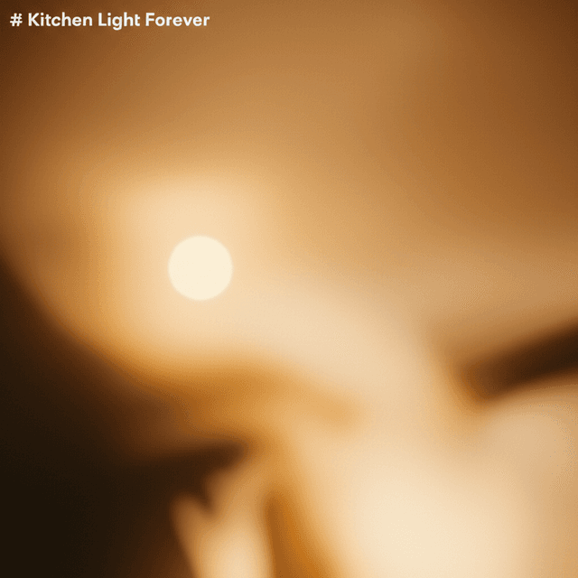 Kitchen Light Forever 2