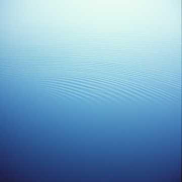 Silent Virtue (The Seam Holds Closed)