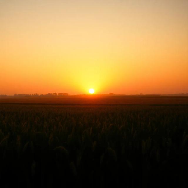 Vasha to Nairobi (Asante Baba) 1