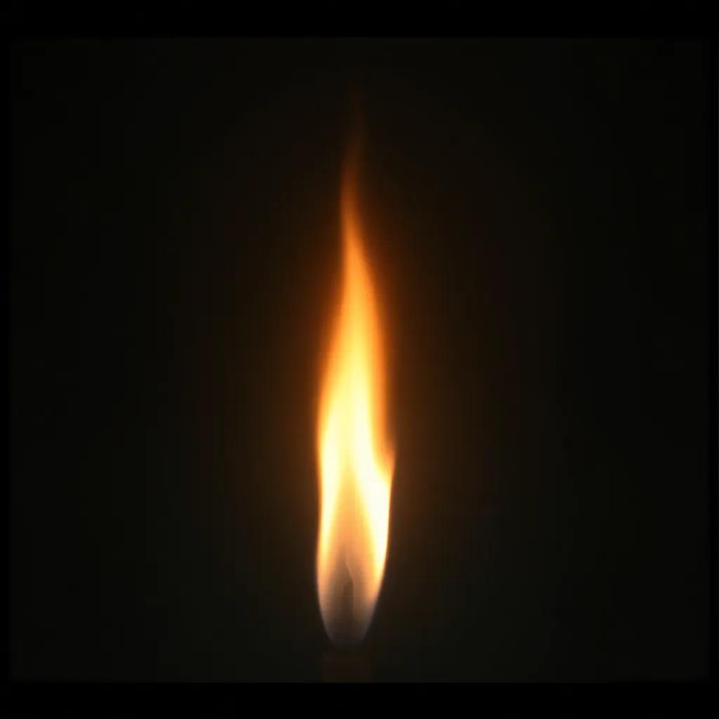 Light of Life 1