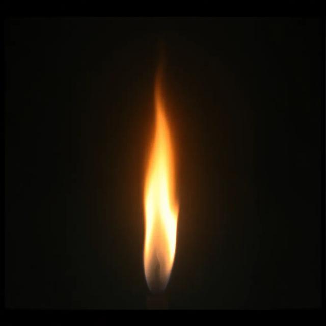 Light of Life 1