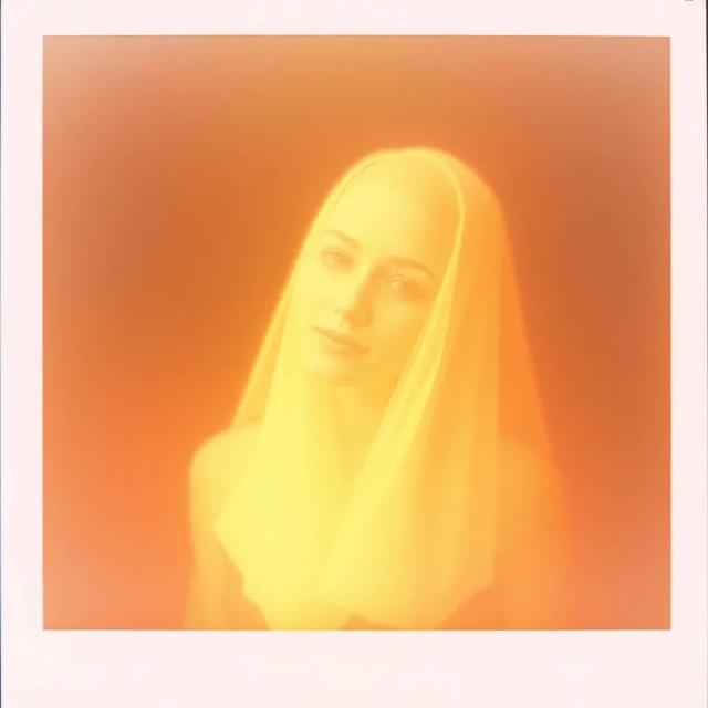 House of Polaroids 2