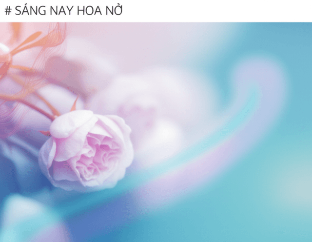 SÁNG NAY HOA NỞ _ _tromusic _guitar(MP3_ 1