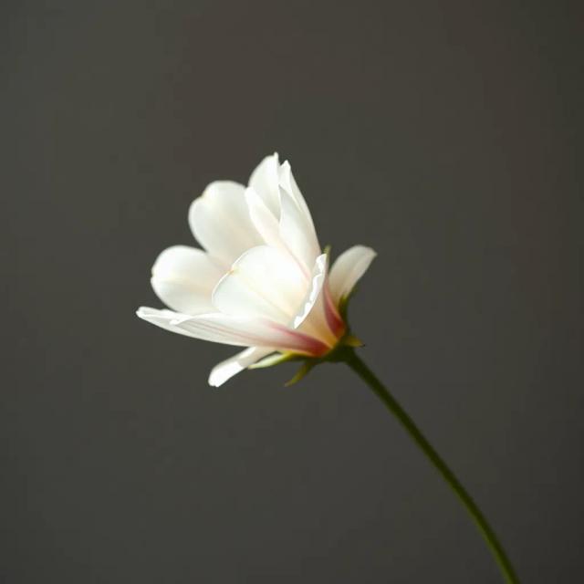 You Are Beautiful, Lydie Sarara 1