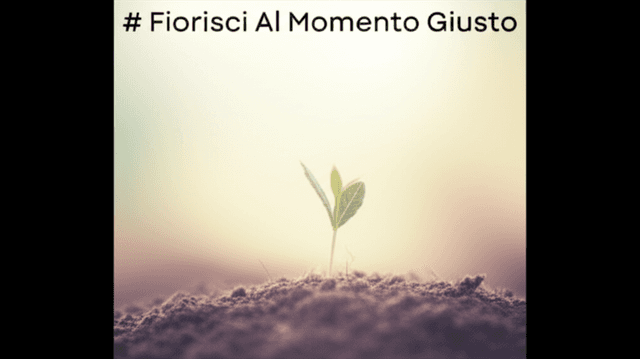 Fiorisci Al Momento Giusto 2