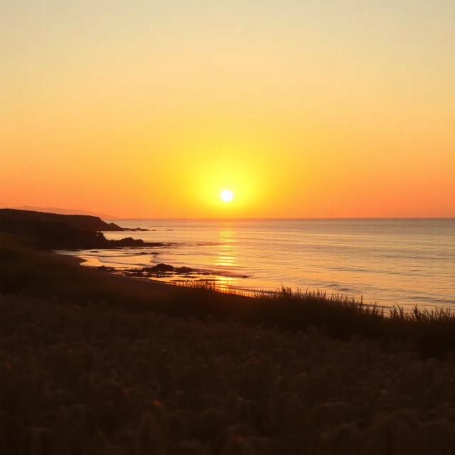 Shabeeley Iftiin iyo Rajo 2