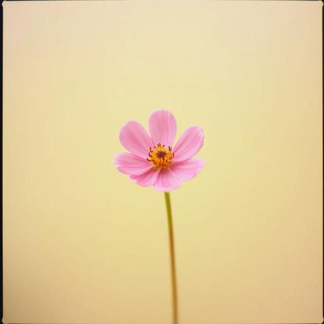 รักตัวเองให้เหมือนที่เคยรักเธอ 2