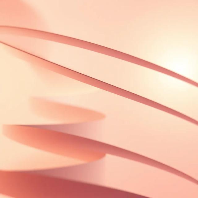 City Lights: We Take Flight 2 1