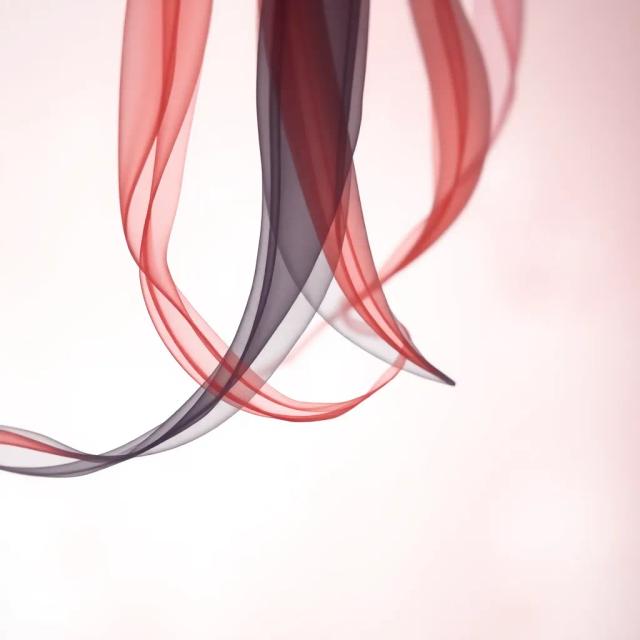 חברות לנצח 1