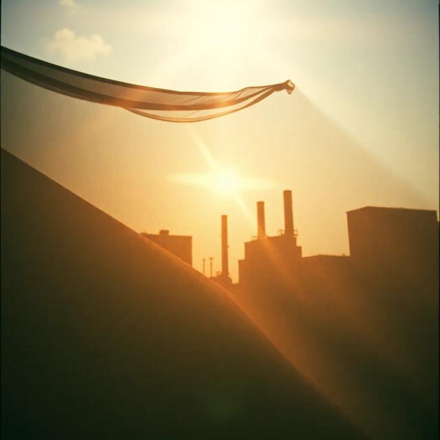 Rochester Fall: White Flight Chronicles 1