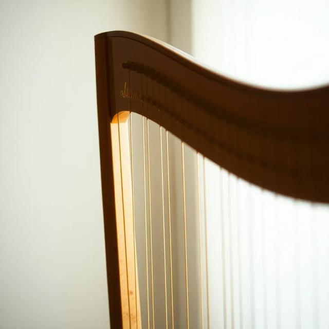 Grace Came Down (Holy Night Jingle) 2