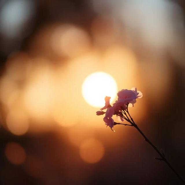 Aku Sayang Sampai Mati (Rock Cover) 2