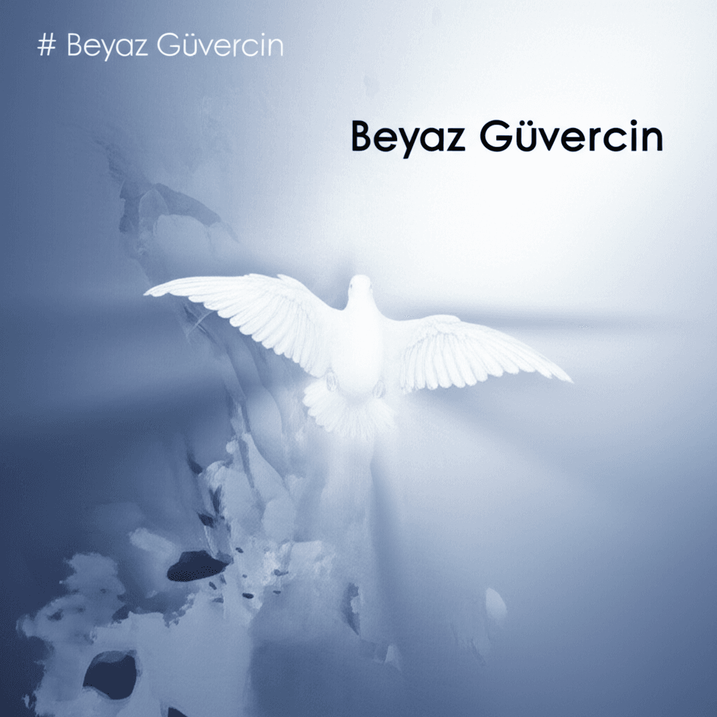 Beyaz Güvercin 1