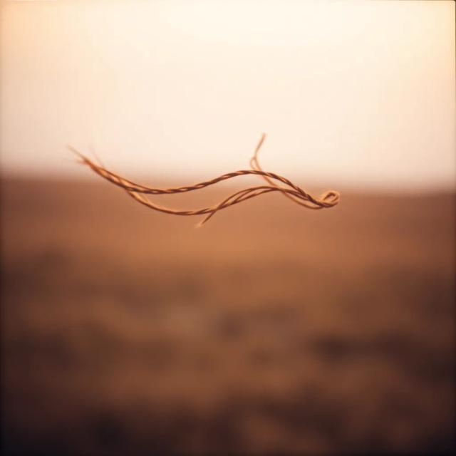 Aires Cordilleranos - Cueca Alegre 2