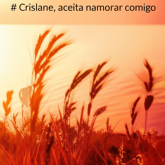 Crislane, aceita namorar comigo 1