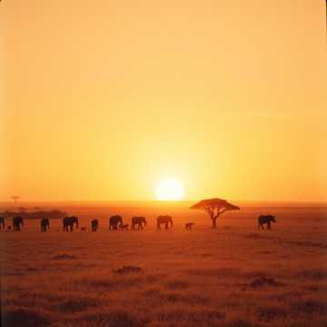 One Kingdom, One Spirit (Ubunye be-Alkebulan)