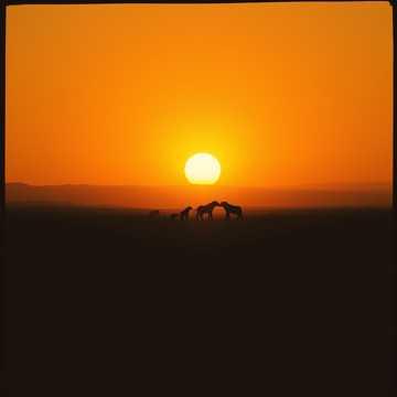 One Kingdom, One Spirit (Ubunye be-Alkebulan)