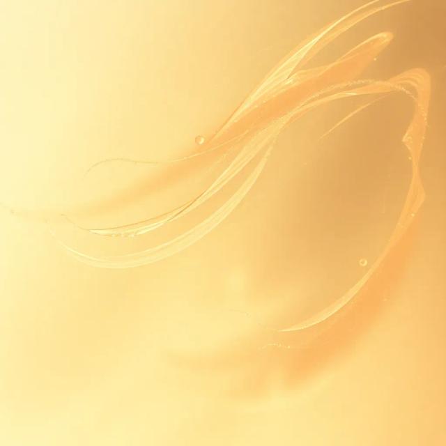 Ecos de Otro Tiempo 2