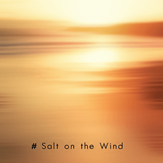 Salt on the Wind 1