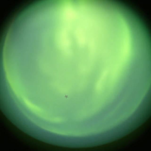 Zıpla Zıpla Minik Yıldız 2