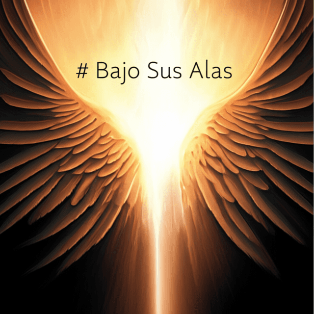 Bajo Sus Alas 2