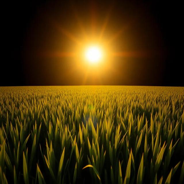 แสงทองในดวงใจพระเทพ 1