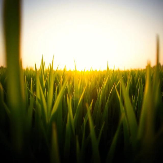 แสงทองในดวงใจไทย 2