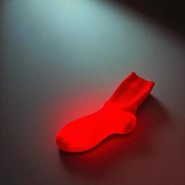 Llama Llama Red Sock 2