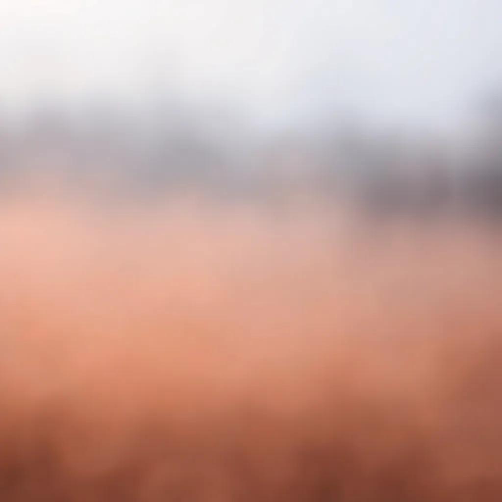 Sky of Nights (Michelle's Lullaby) 1