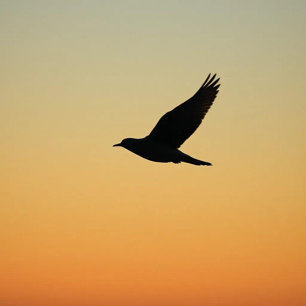 देवा खुश ठेव रे 2