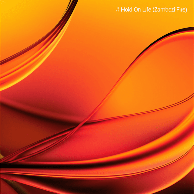 Hold On Life (Zambezi Fire) 2