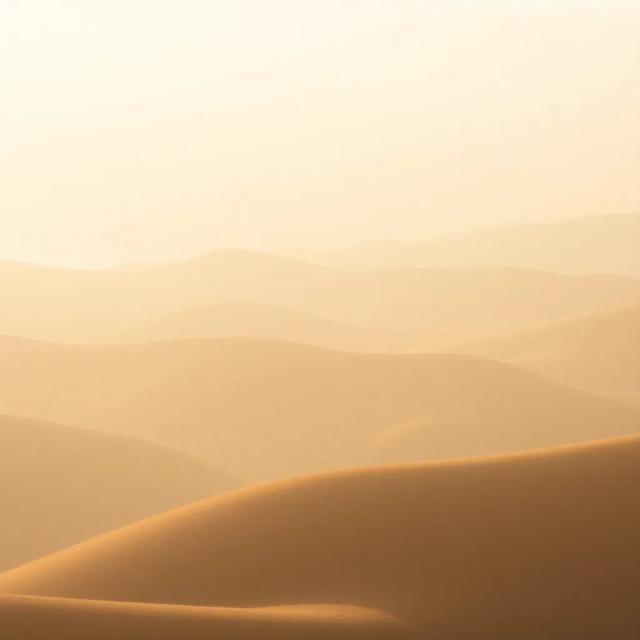 Rainlight in the Emerald Canopy 1