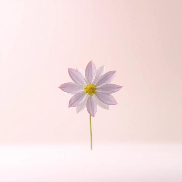 The Climb of Soil and Scars 2